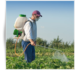 Fumigaciones | Control de Plagas